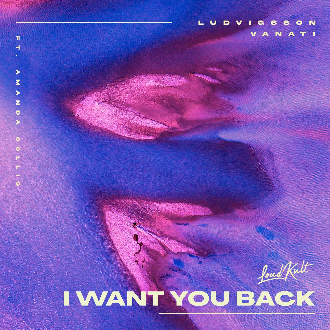 I Want You Back by Vanati, Ludvigsson and Amanda Collis on Beatsource