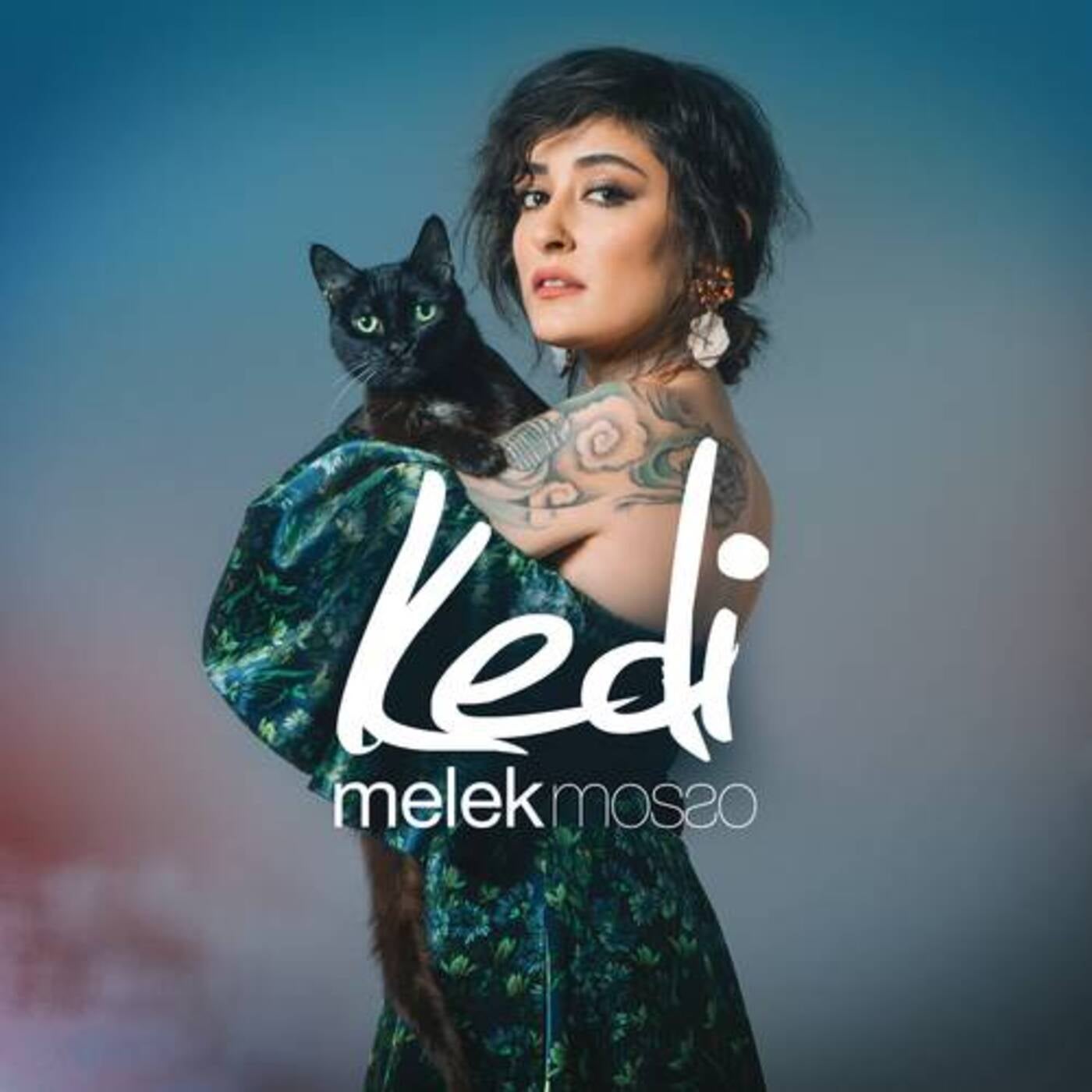 kedi release