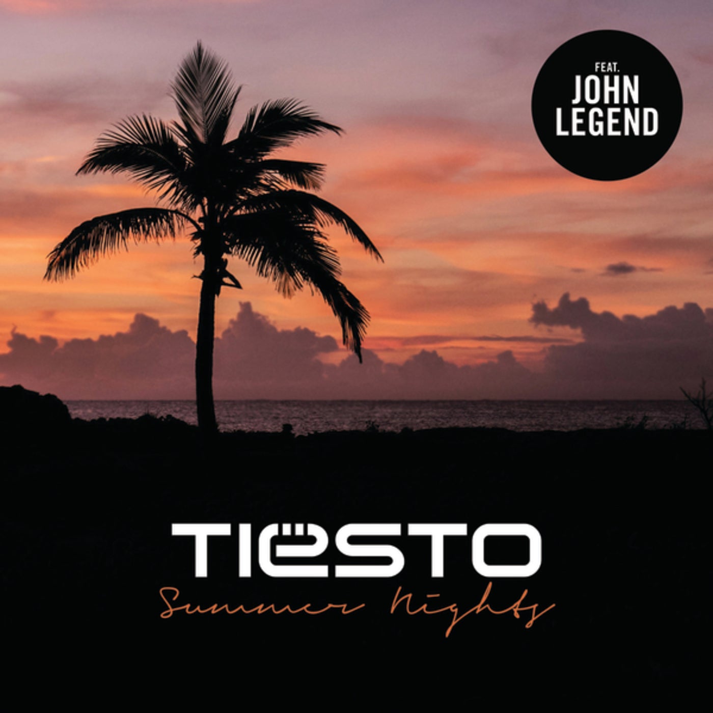 Summer Nights by Tiësto and John Legend on Beatsource