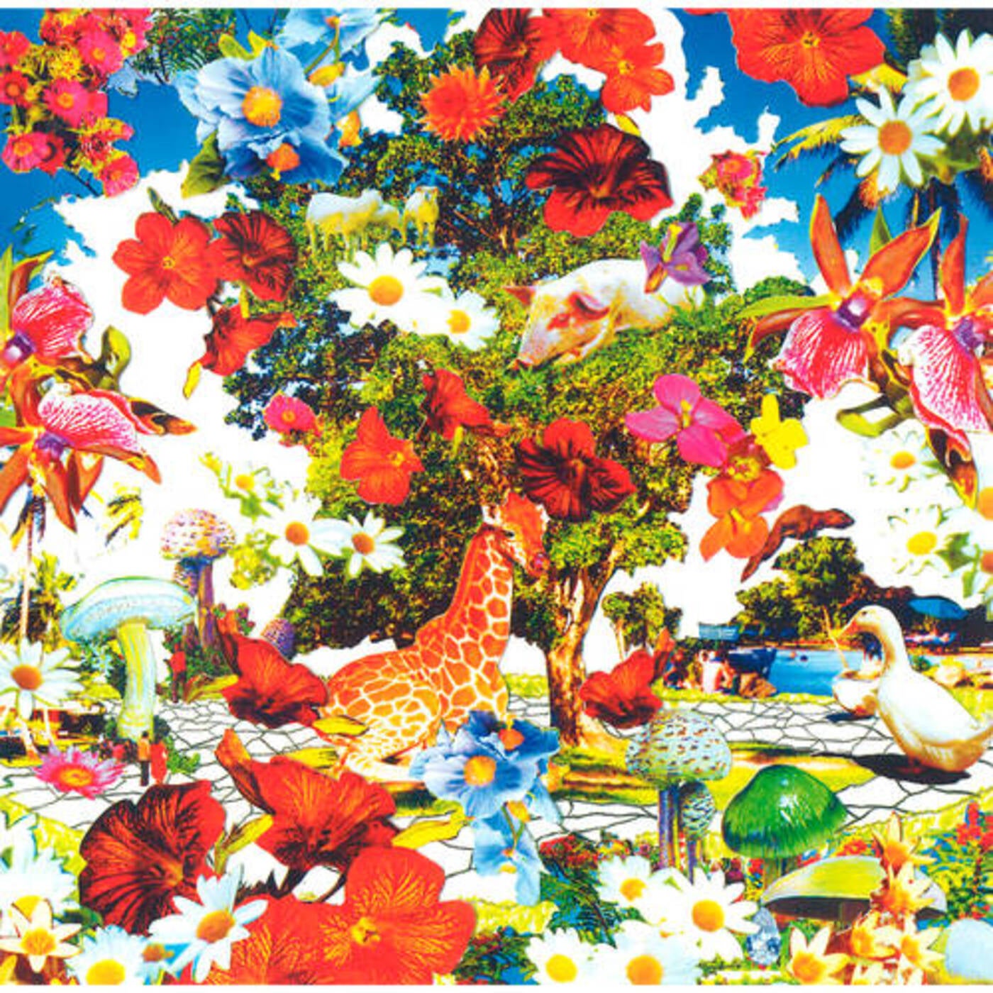 Organic Plastic Music Album