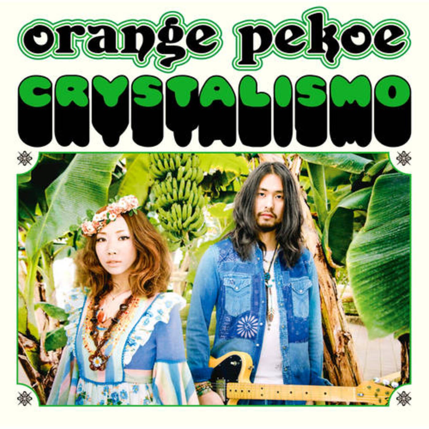 Organic Plastic Music Album