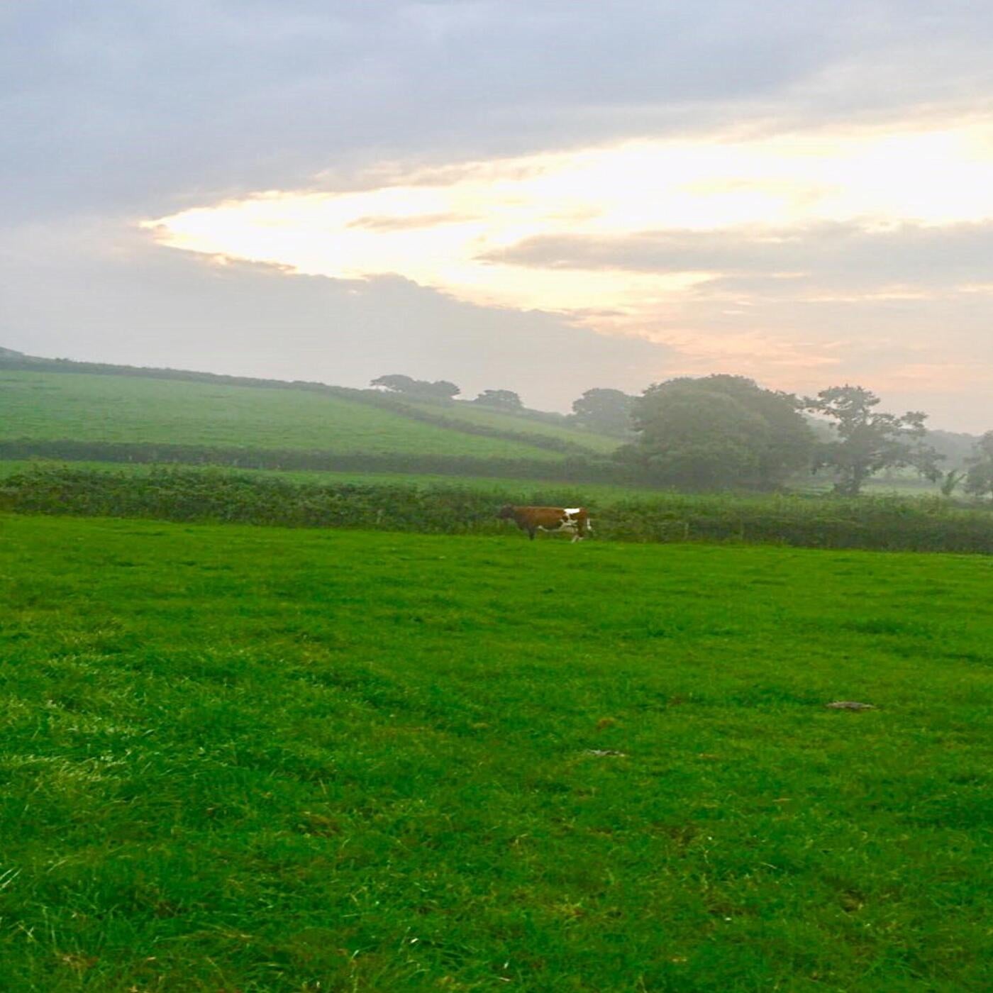 upside down by kurtains on Beatsource