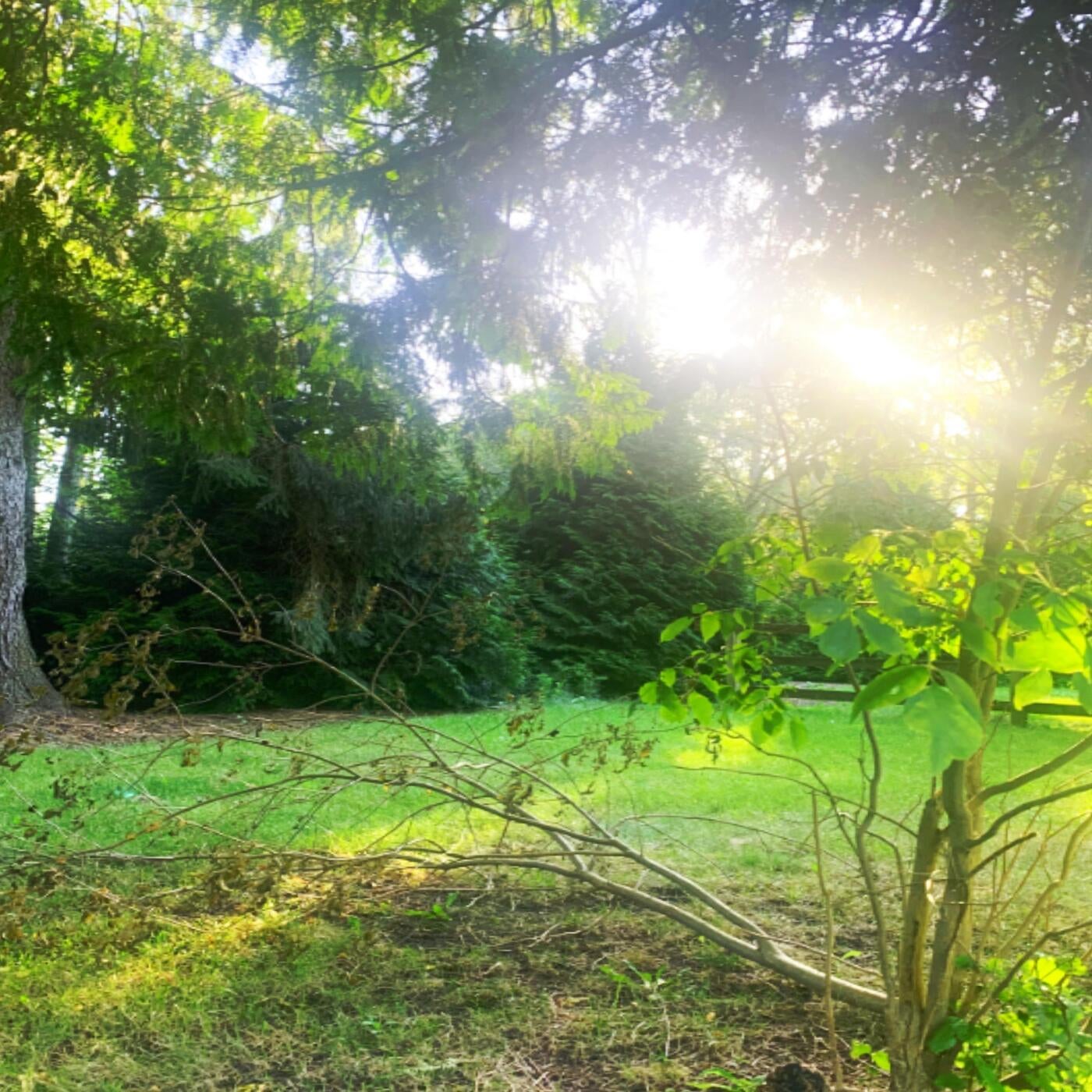 boss (ceo) by kurtains on Beatsource