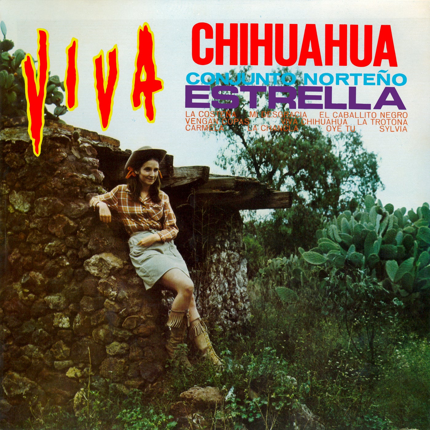 Viva Chihuahua (Remaster from the Original Azteca Tapes) by Conjunto