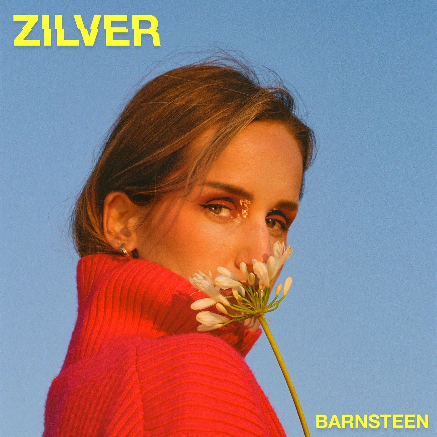 Zilver By BARNSTEEN On Beatsource