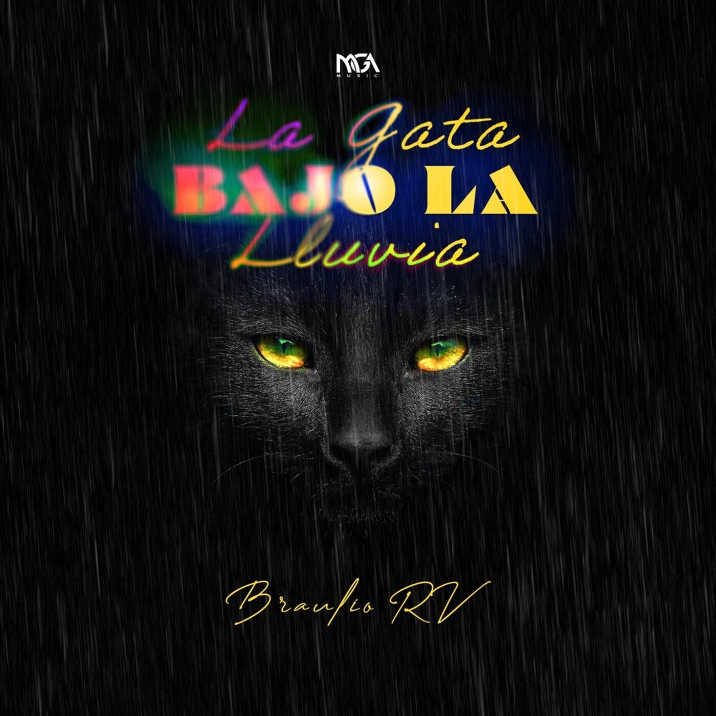 La Gata Bajo La Lluvia by BRAULIO RV on Beatsource