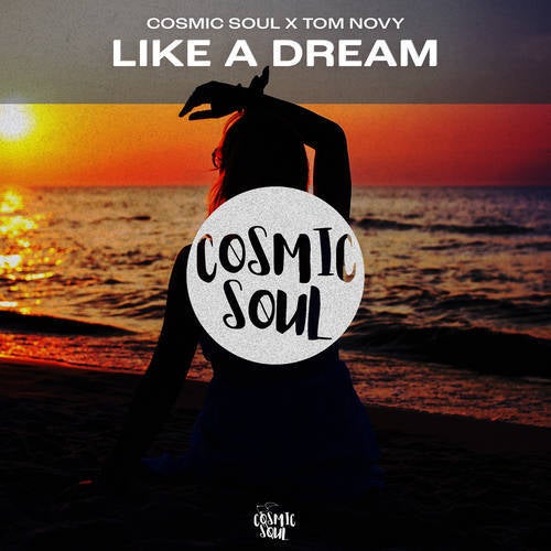 Like A Dream by Tom Novy and Cosmic Soul on Beatsource