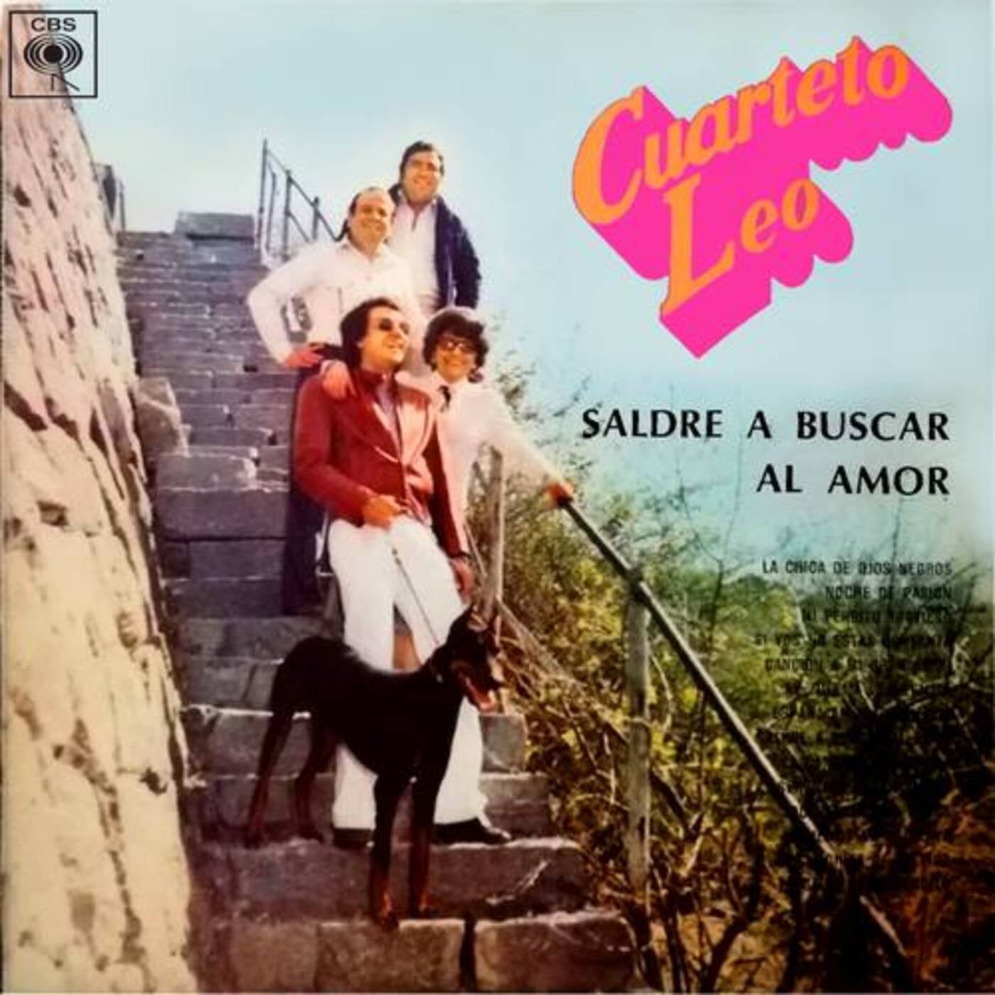 Saldré a Buscar el Amor by Cuarteto Leo on Beatsource