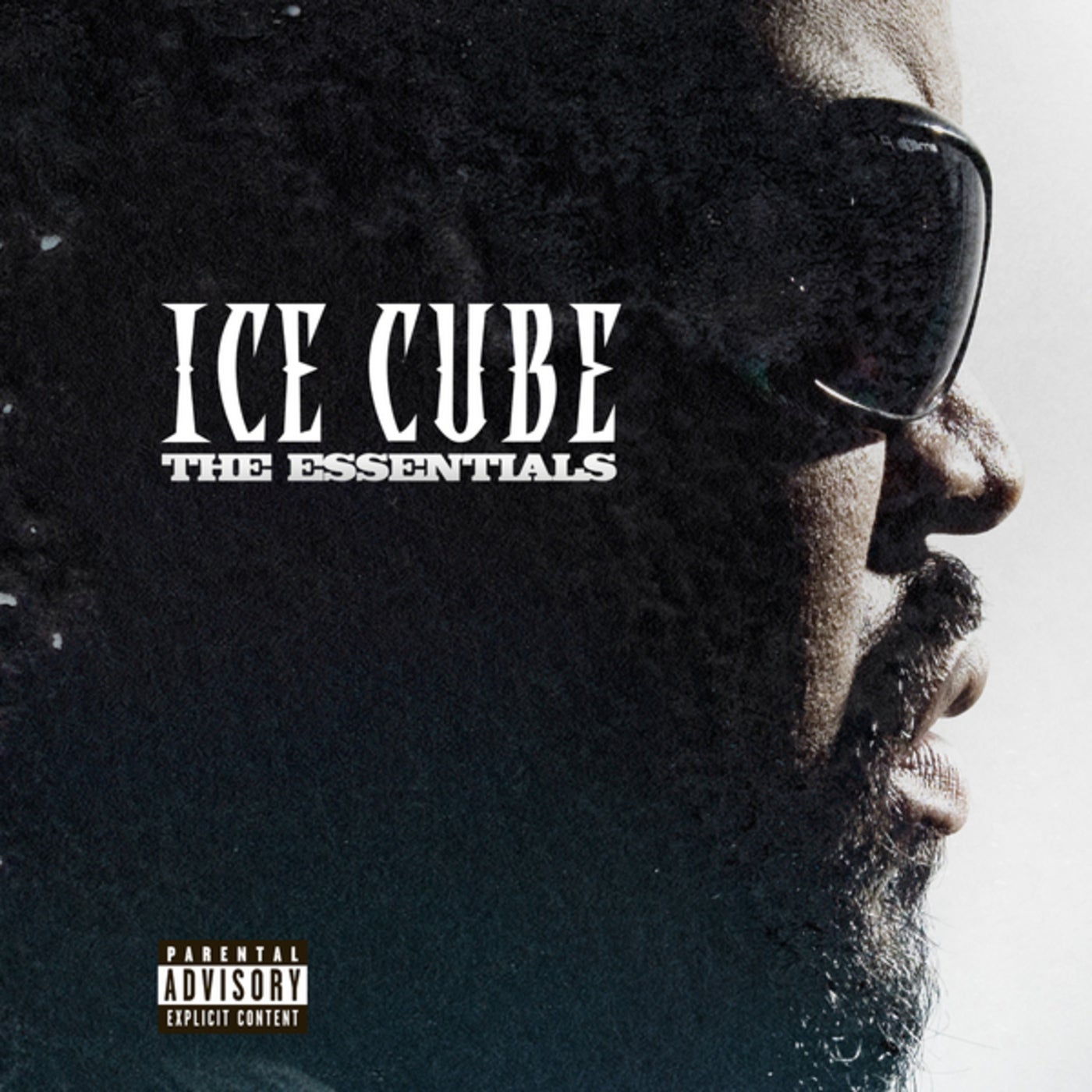 Lil jon ice cube