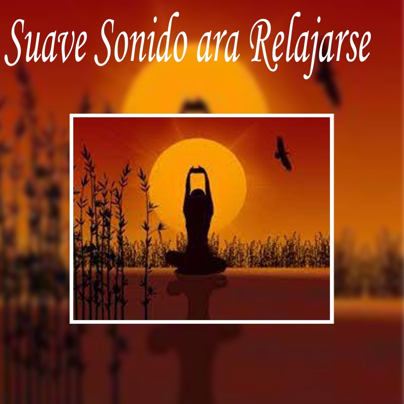 Suave sonidos Para Relajarse by Suave sonidos on Beatsource