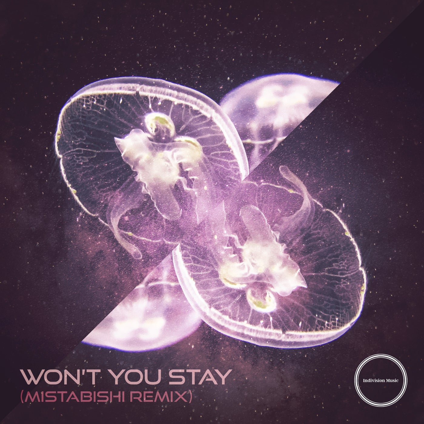 Won t You Stay Mistabishi Remix By Tasha Baxter Livewire And won-t-you-stay-youtube