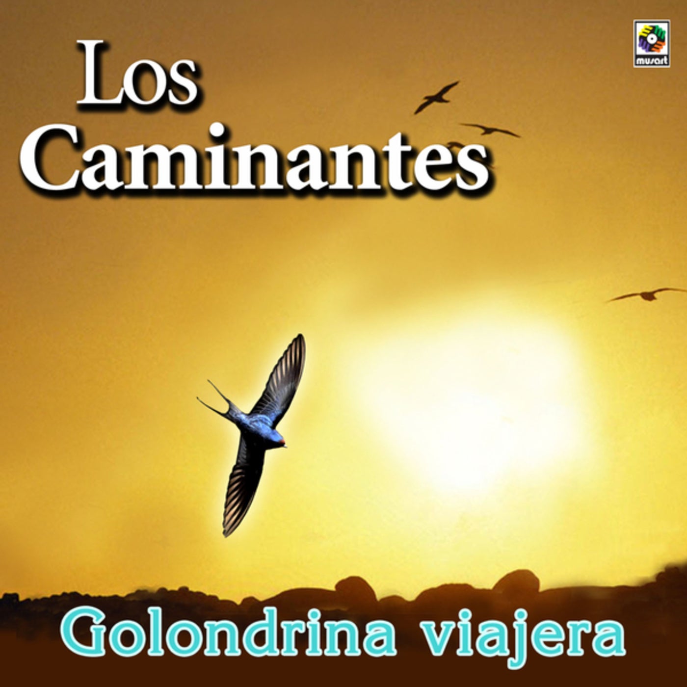 Golondrina Viajera By Los Caminantes On Beatsource