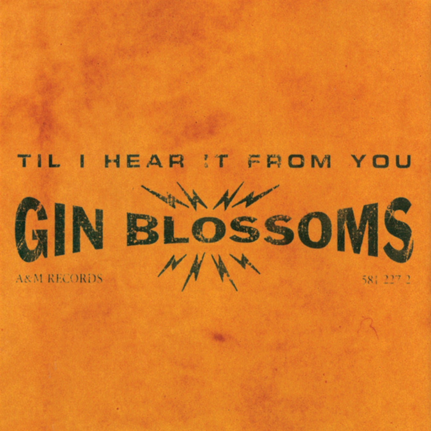 Til I Hear It From You by Gin Blossoms on Beatsource