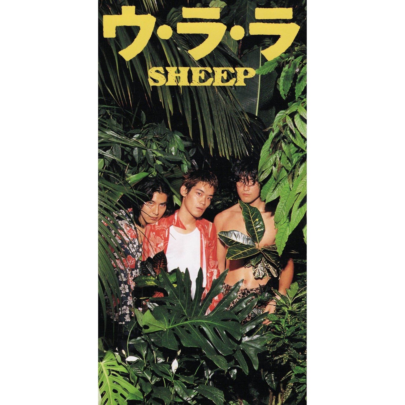 Natsu No Maboroshi by Sheep on Beatsource