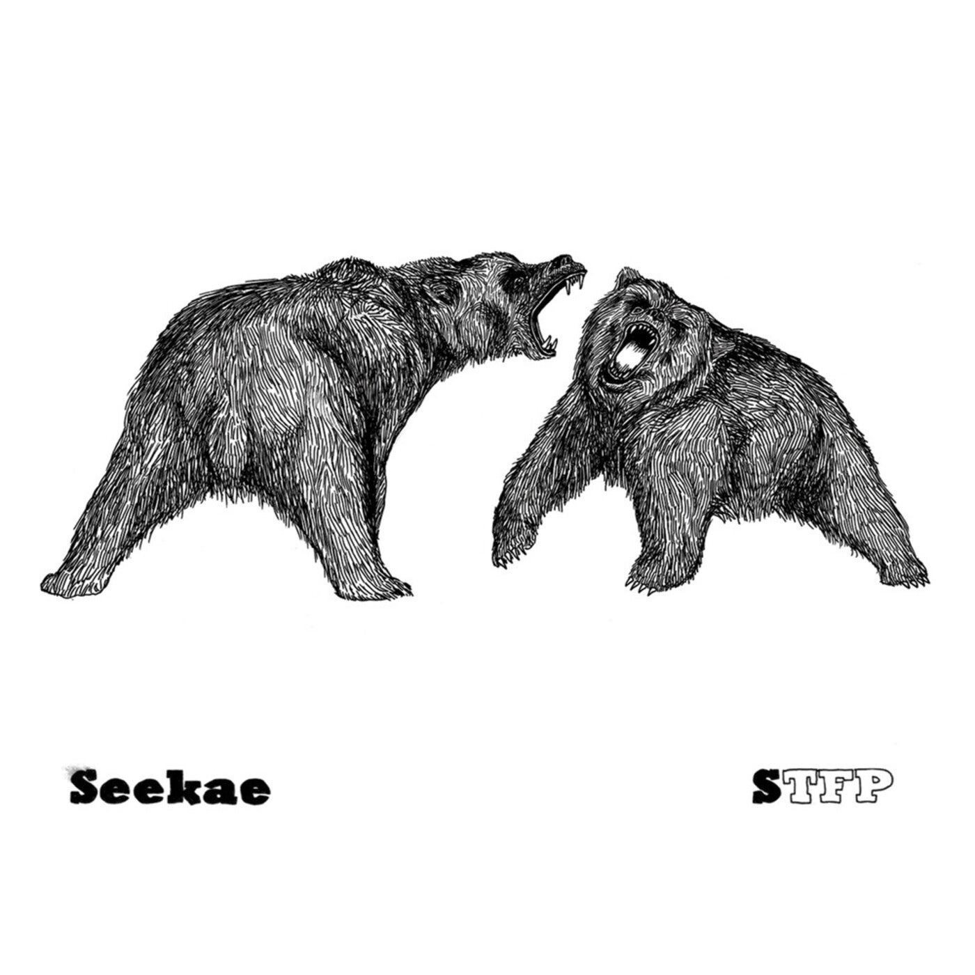 The Sound Of Trees Falling On People by Seekae and Ivan Vizintin on