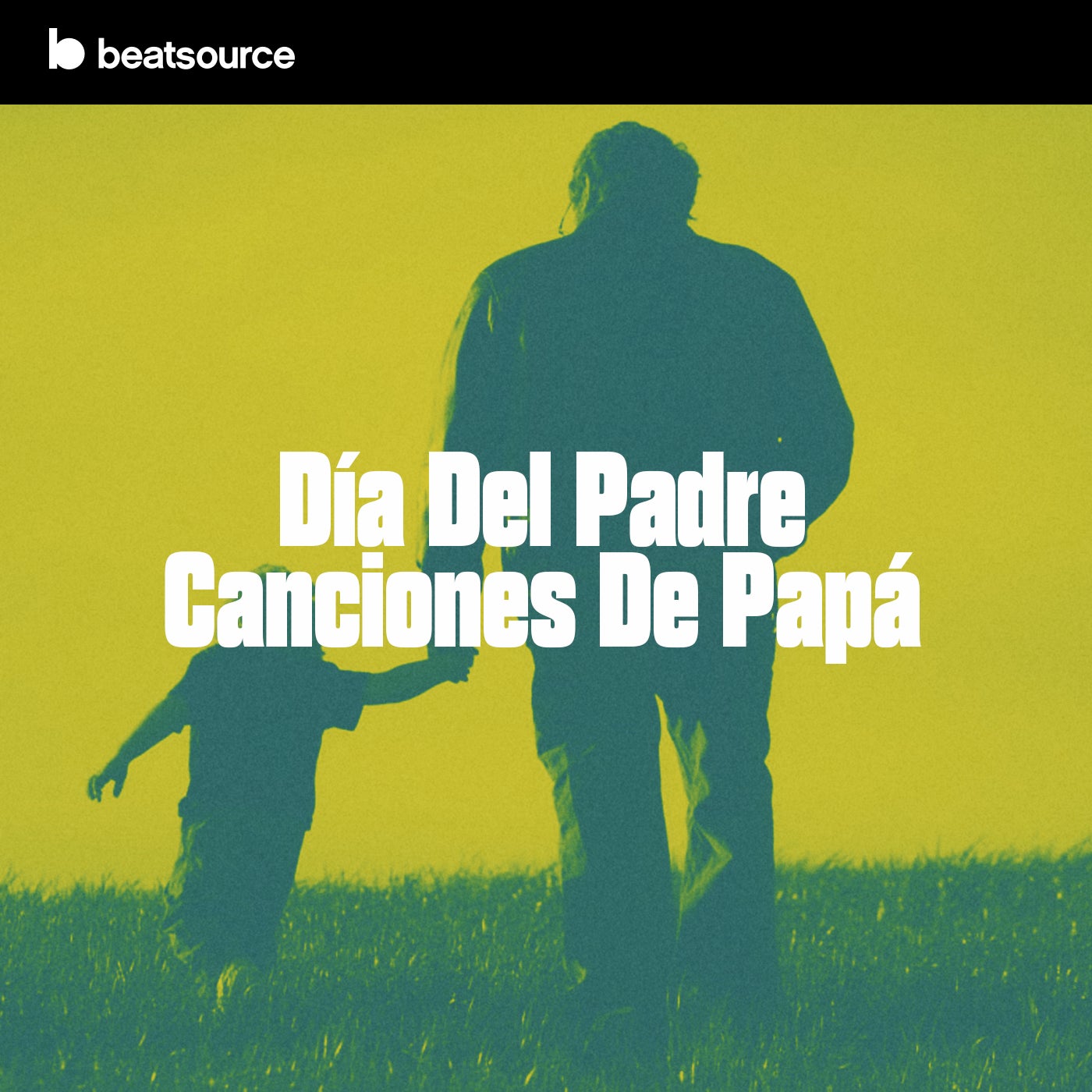 Día Del Padre - Canciones De Papá Playlist for DJs on Beatsource