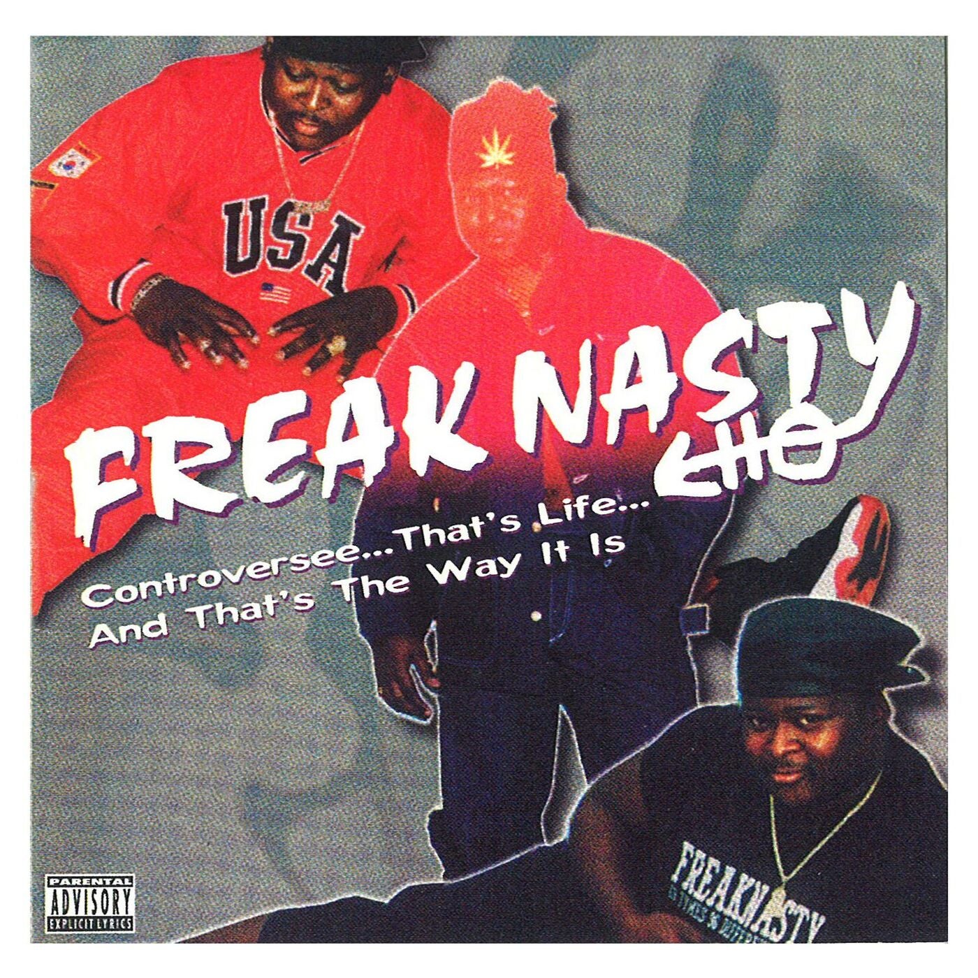 Down Low (Remix) by Freak Nasty on Beatsource.
