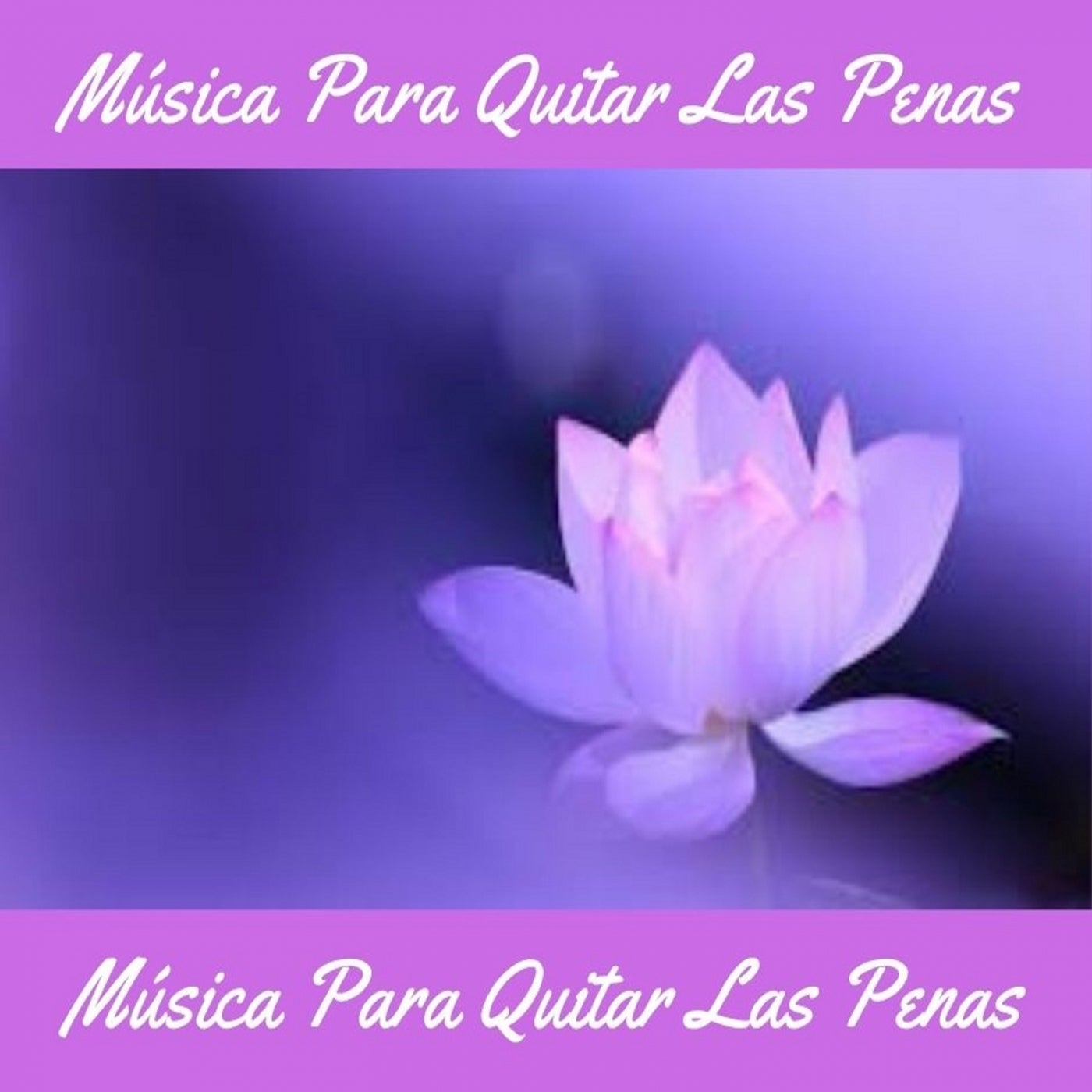 Fogata en acustico puro by musica para relajarse on beatsource