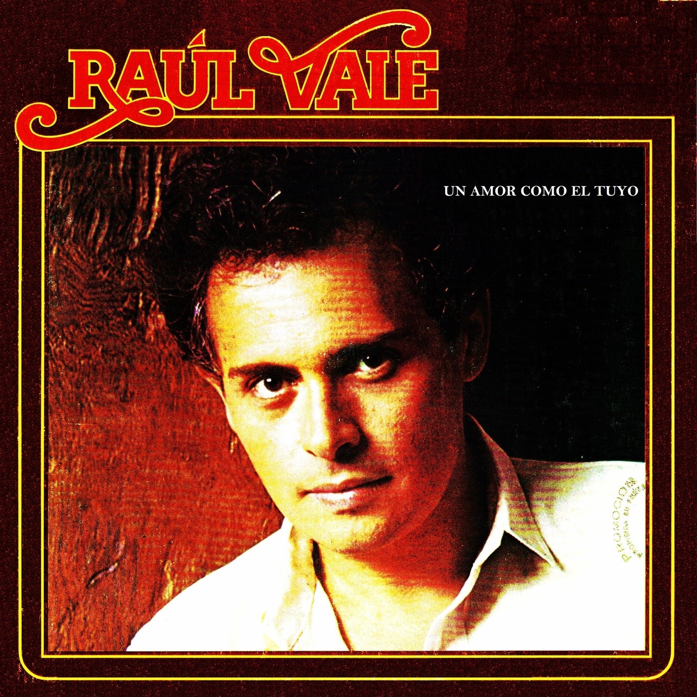 Un amor como el tuyo by Raul Vale on Beatsource