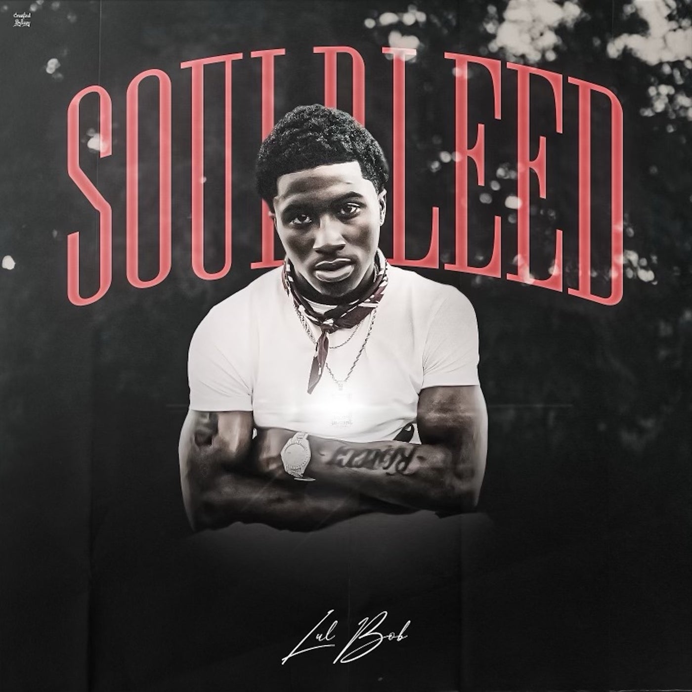 Soul Bleed by Lul Bob on Beatsource