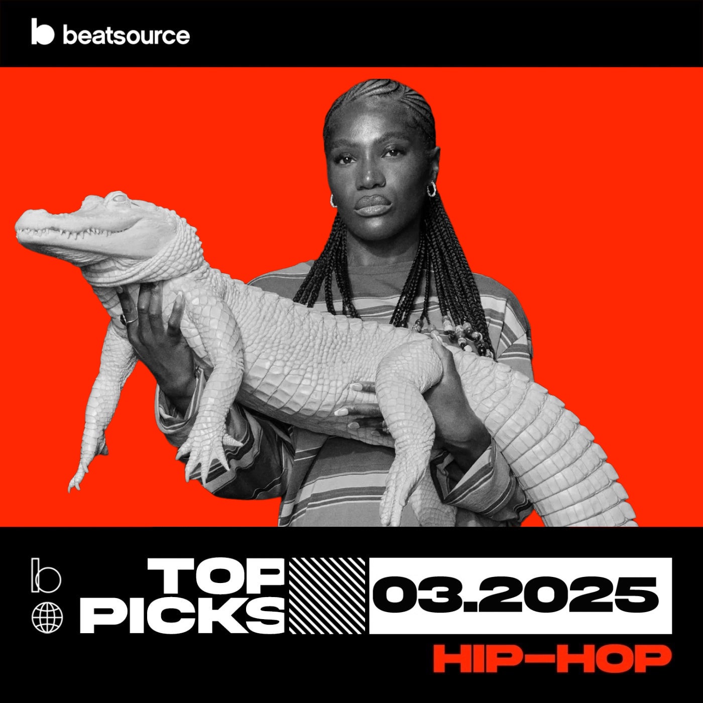 Get Hype! - A Collection of Hip Hop Ads, Promo Kits