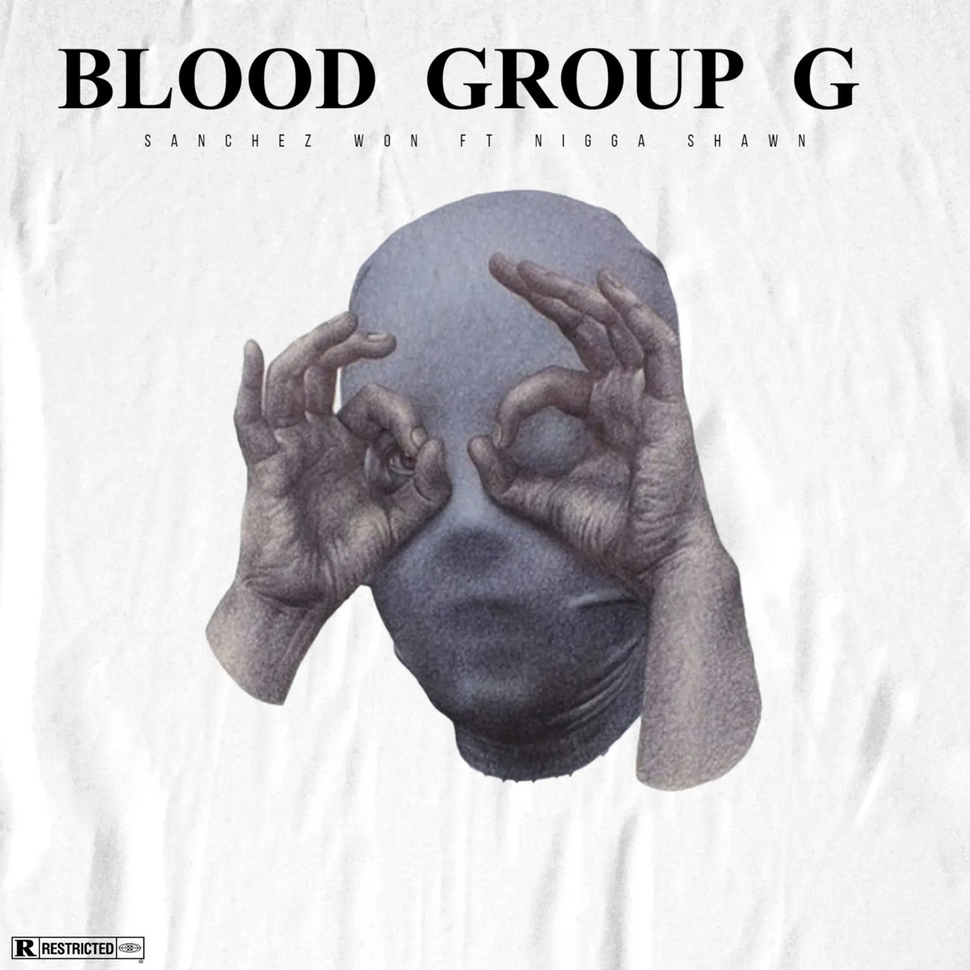 Blood Group G (feat. NIGGA SHAWN) by Sanchez Won and NIGGA SHAWN