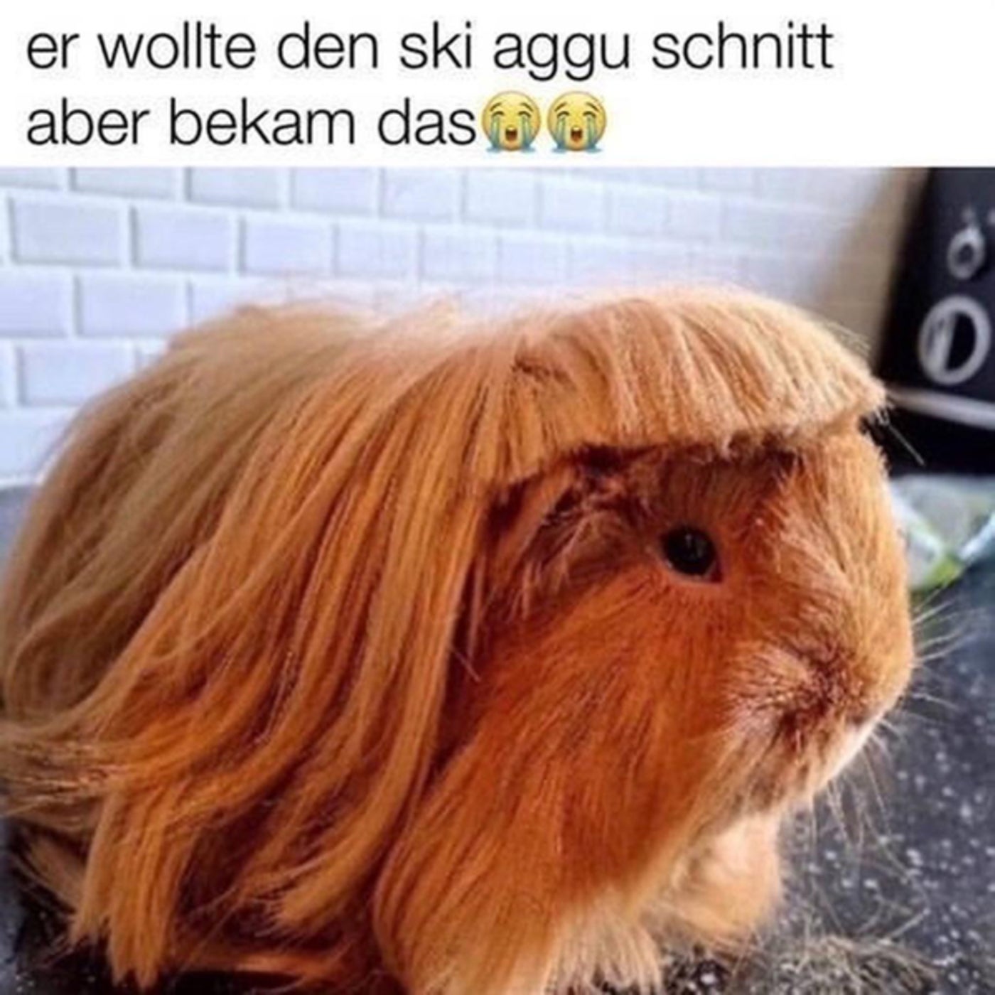 Hubba Bubba by Ski Aggu on Beatsource