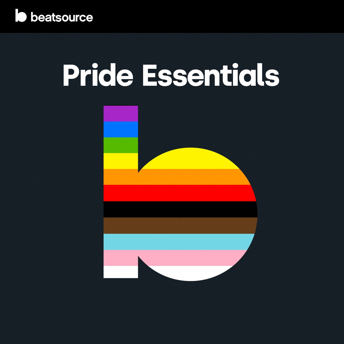 pride remix book pride remix book
