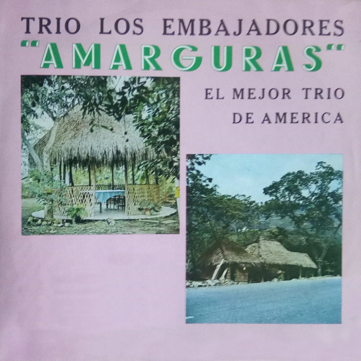 Amarguras by Trío Los Embajadores on Beatsource