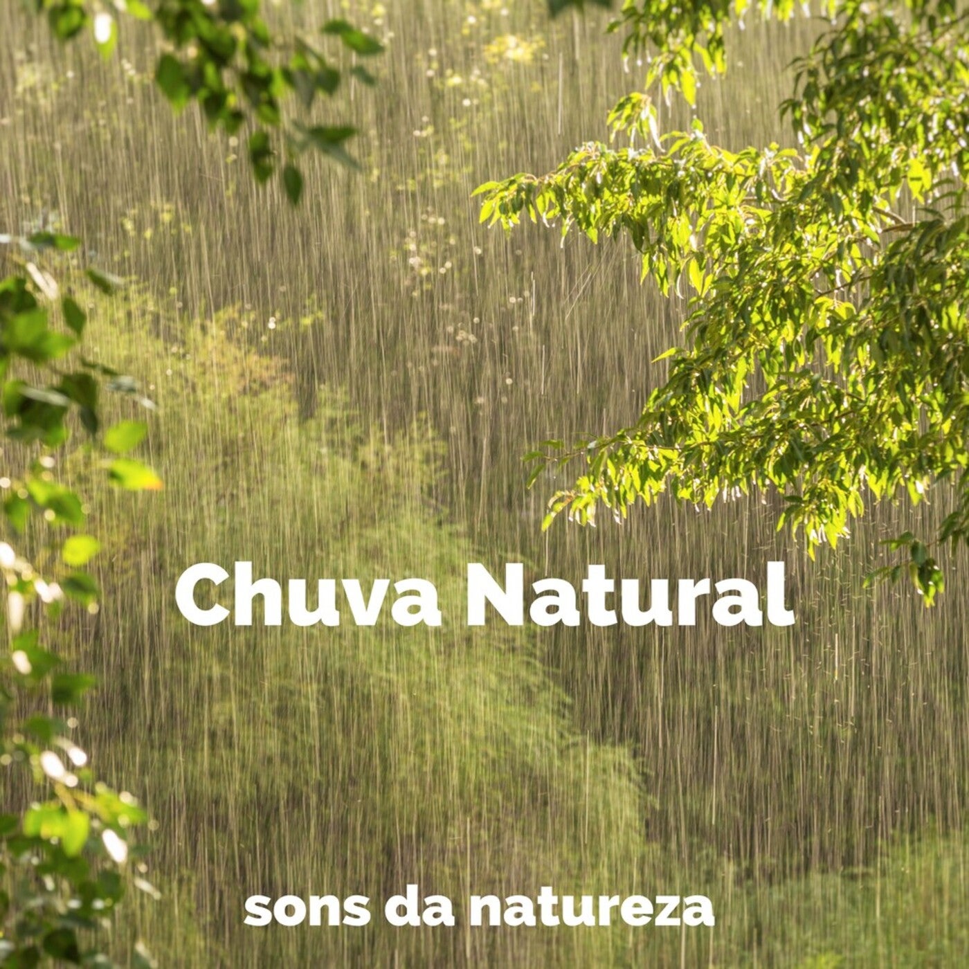 Pingos de Chuva Caindo no Chão - Album by Sons da Natureza Projeto ECO  Brasil