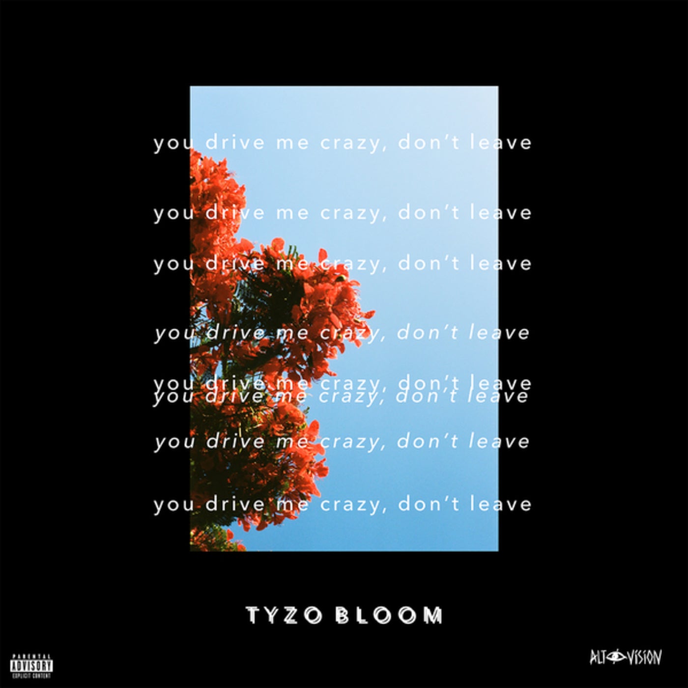 You Drive Me Crazy Don T Leave Release