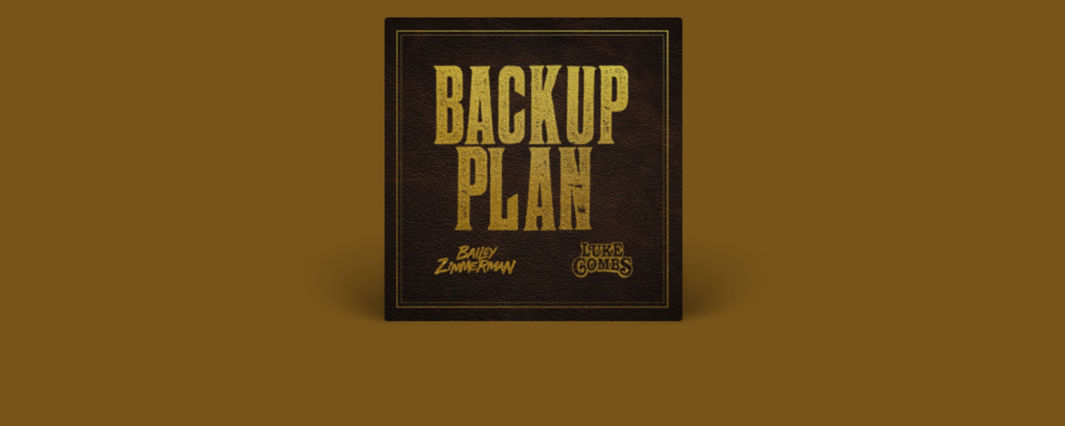Backup Plan