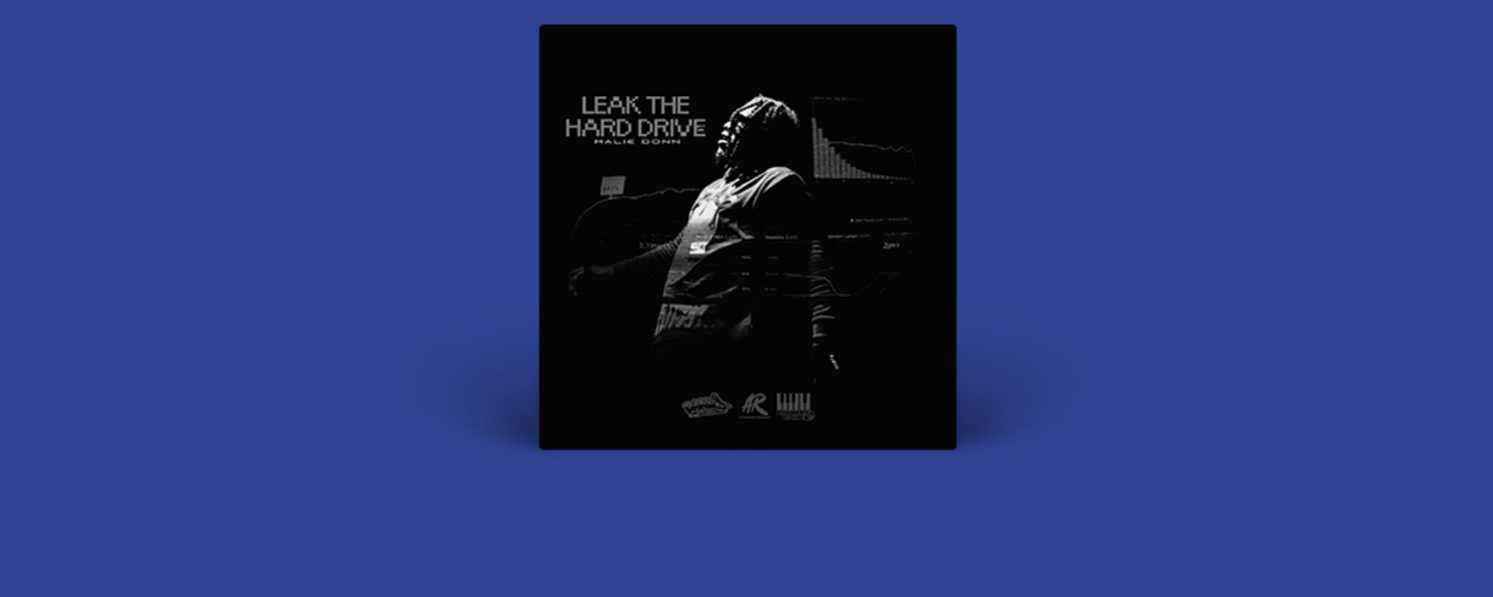 Leak The Hard Drive