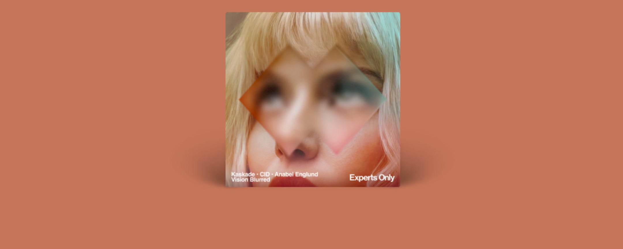 Vision Blurred (Extended)