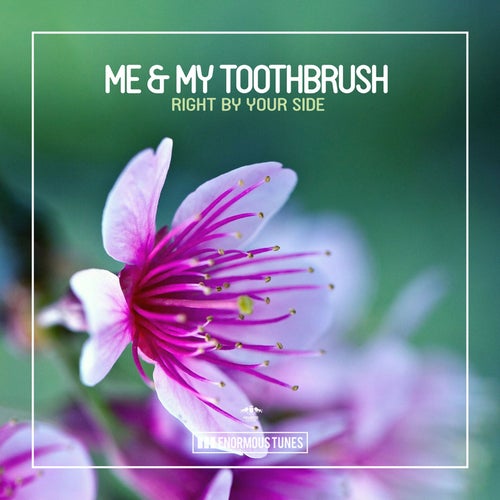 Me & My Toothbrush Profile