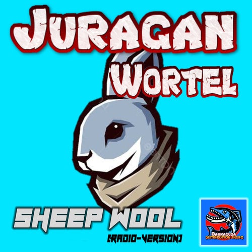 Sheep Wool