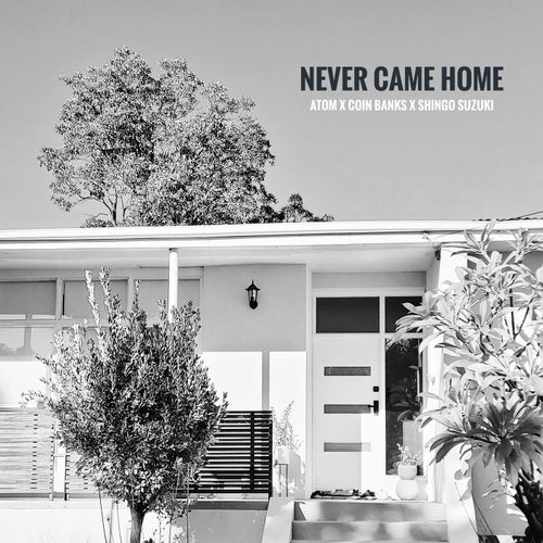 NEVER CAME HOME