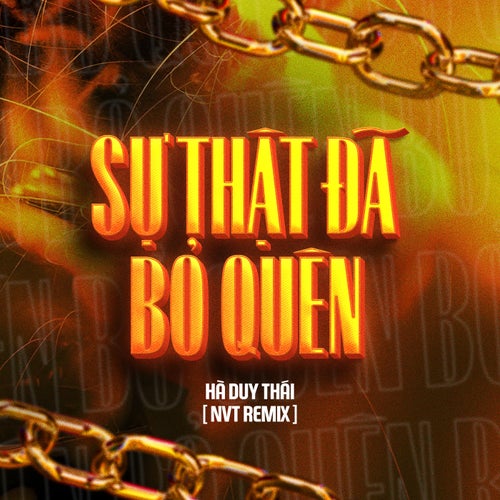 Sự Thật Đã Bỏ Quên (NVT Remix)