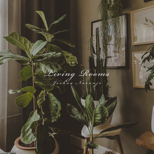 Living Rooms