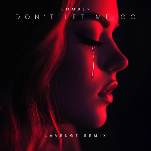 Don't Let Me Go (LAVENGE REMIX)