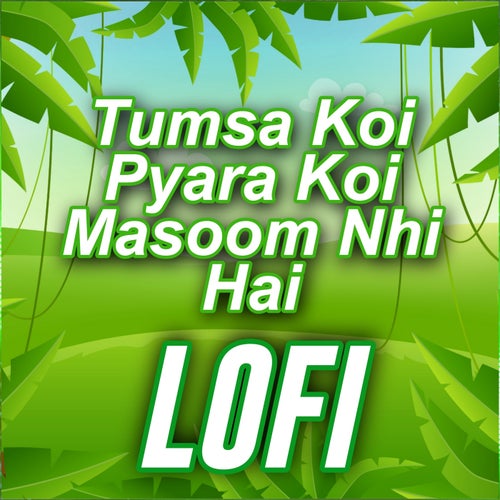 Tumsa Pyaara Koi Masoom Nhi Hai - Lofi