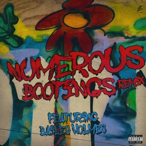 Numerous Bootings Remix