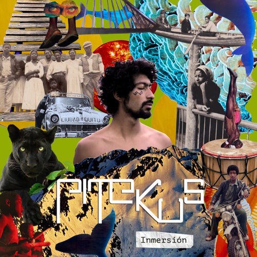 Pantera
