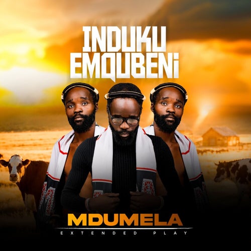 Induku emqubeni