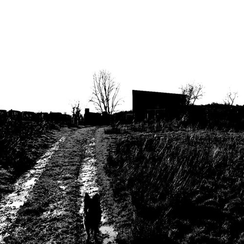 Dead Pastures