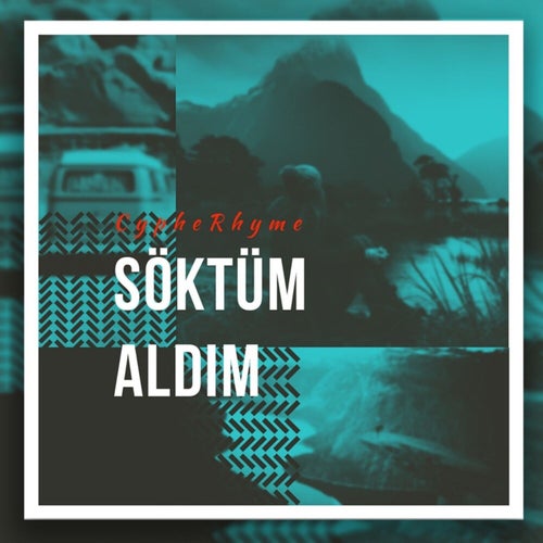 Söktüm Aldım