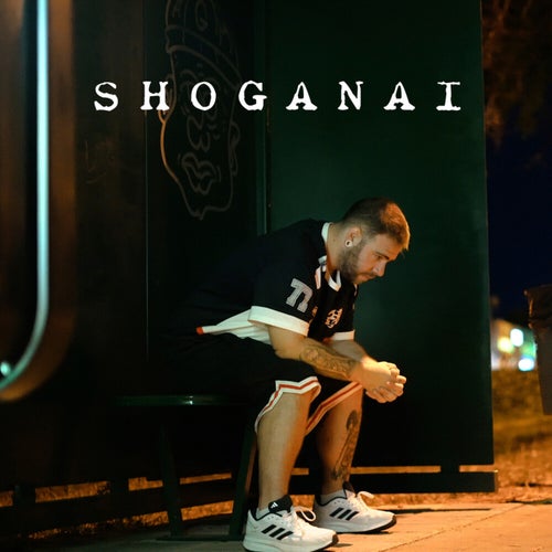 Shoganai