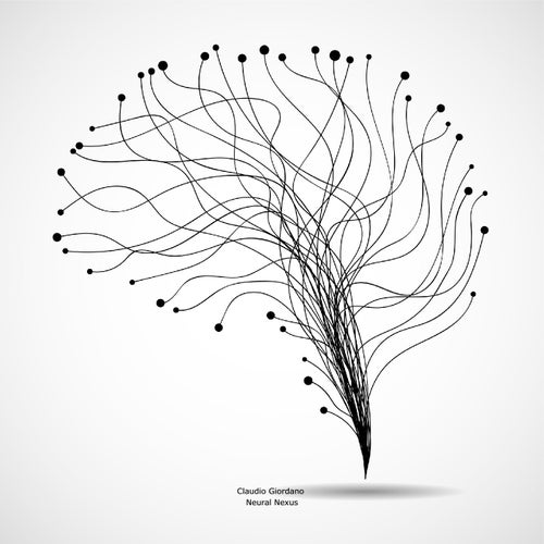 Neural Nexus