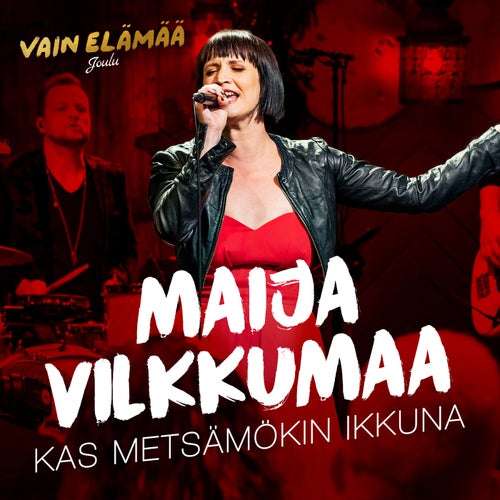 Kas metsämökin ikkuna (Vain elämää joulu)