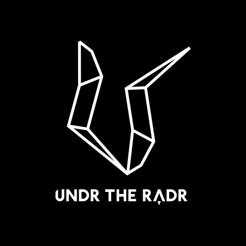 Undr The Radr Profile